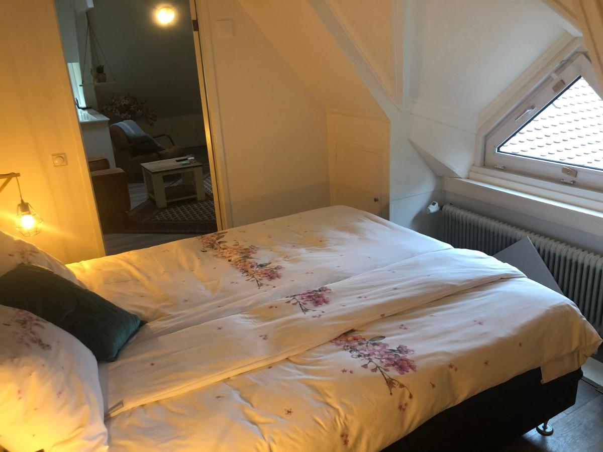 Guesthouse Villa De Eikhof Hengelo  Dış mekan fotoğraf