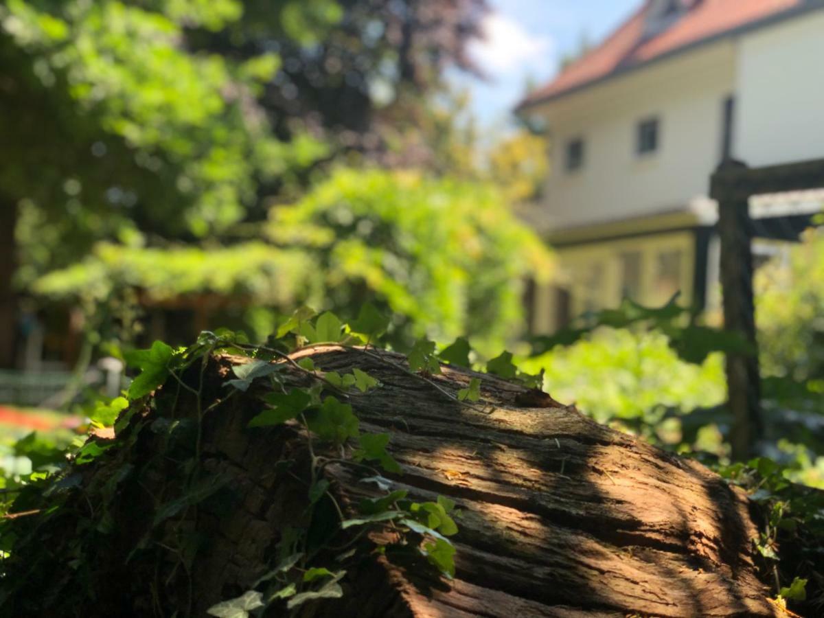 Guesthouse Villa De Eikhof Hengelo  Dış mekan fotoğraf